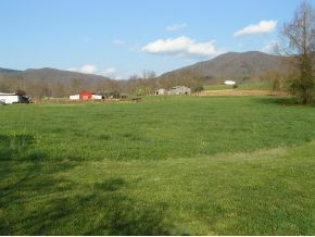 122 Darrell Bowers Road Elizabethton, TN 37643 - Photo 8 of 17 Photo 8
