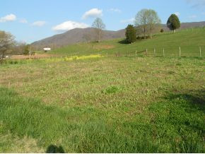 122 Darrell Bowers Road Elizabethton, TN 37643 - Photo 9 of 17 Photo 9