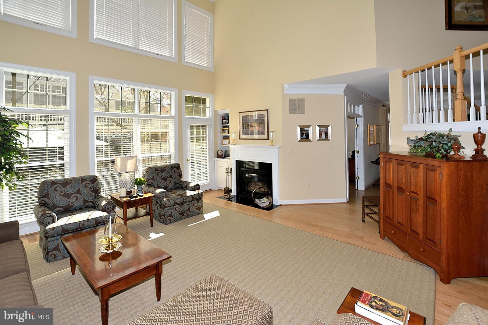 10087 Daniels Run Way Fairfax, VA 22030 - Photo 14 of 30 Family Room