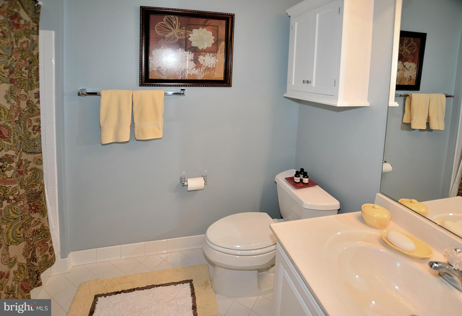 10087 Daniels Run Way Fairfax, VA 22030 - Photo 21 of 30 Bath
