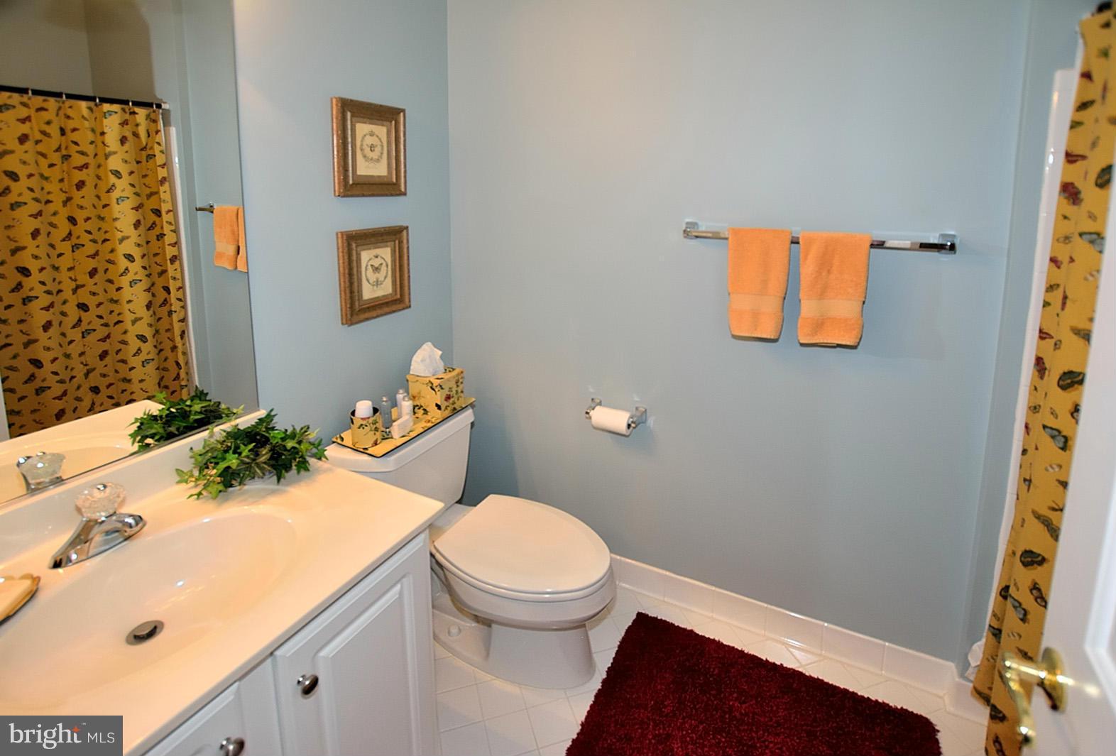 10087 Daniels Run Way Fairfax, VA 22030 - Photo 24 of 30 Bath