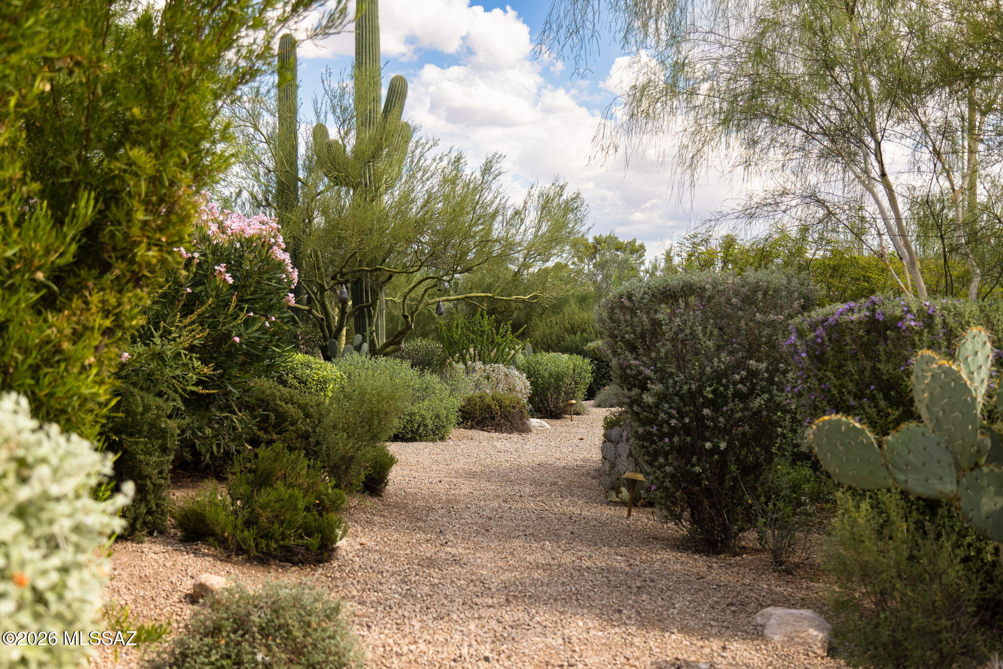4560 East River Road Tucson, AZ 85718 - Photo 2 of 51 Secluded on 2.85 acres