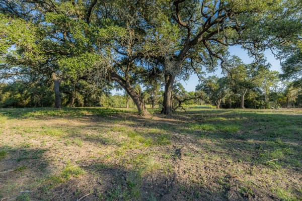 Lane-lot 10 Round Top, TX 78954 - Photo 3 of 10