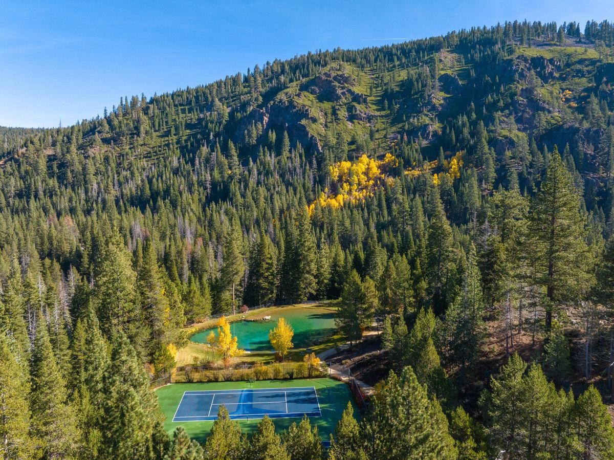 205 Alpine Meadows Road, Unit 2 Alpine Meadows, CA 96145 - Photo 26 of 28 a view of a yard with plants