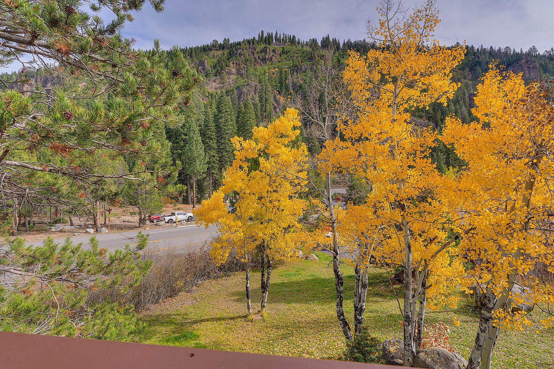 205 Alpine Meadows Road, Unit 2 Alpine Meadows, CA 96145 - Photo 8 of 28 a view of yard with tree