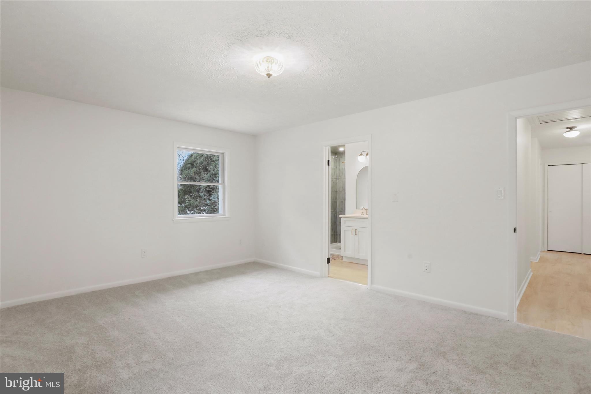 717 West Locust Street Woodstock, VA 22664 - Photo 26 of 71 an empty room with a empty space and windows