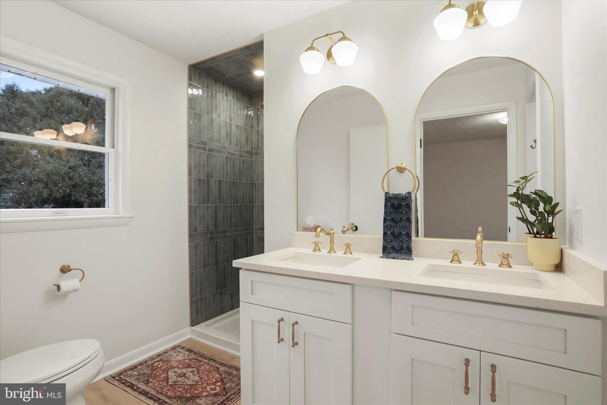 717 West Locust Street Woodstock, VA 22664 - Photo 28 of 71 a bathroom with a double vanity sink toilet and a mirror
