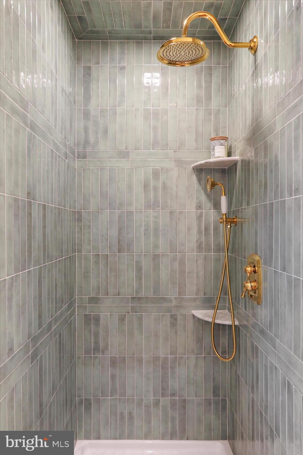 717 West Locust Street Woodstock, VA 22664 - Photo 30 of 71 a bathroom with a shower