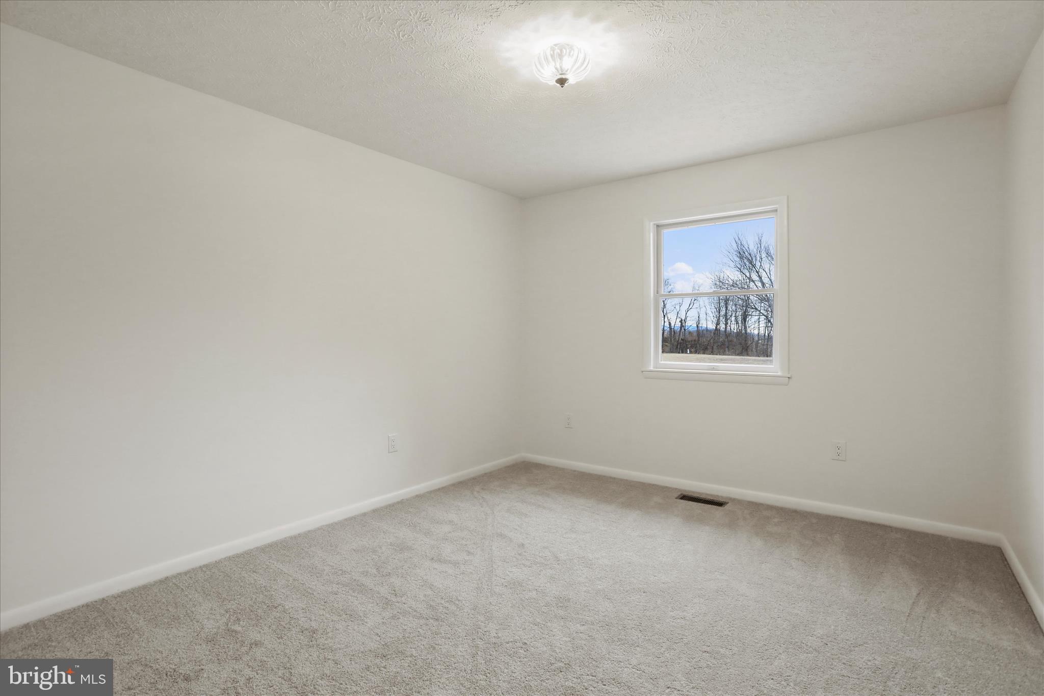 717 West Locust Street Woodstock, VA 22664 - Photo 31 of 71 an empty room with a empty space