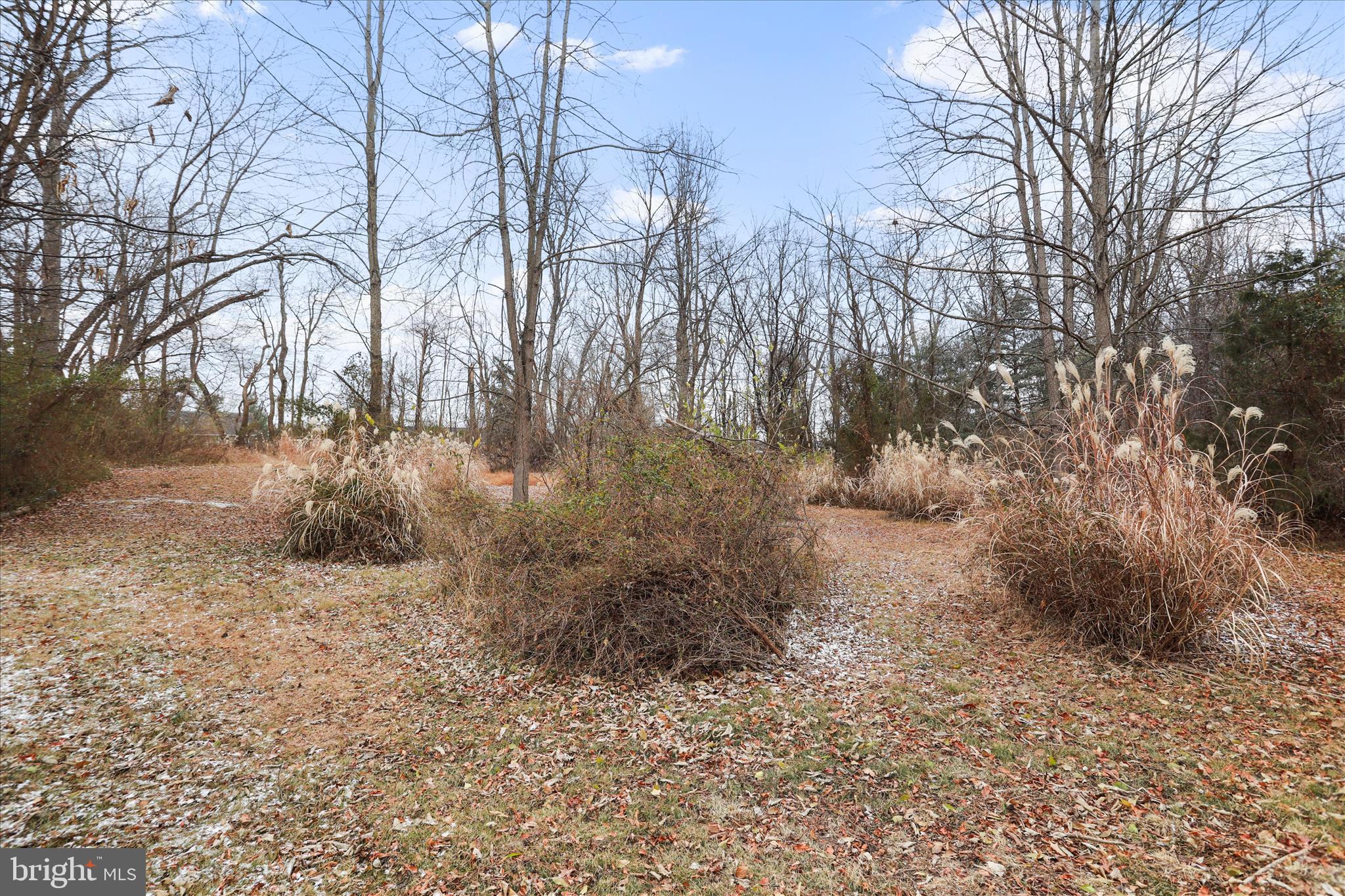717 West Locust Street Woodstock, VA 22664 - Photo 63 of 71 a backyard of a house with lots of green space