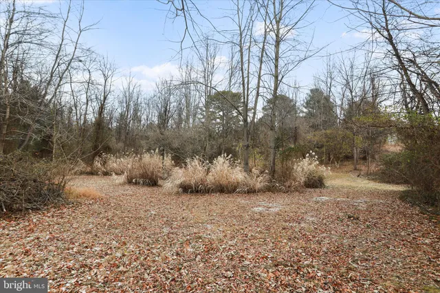 $659,000 | 717 West Locust Street, Woodstock, VA 22664