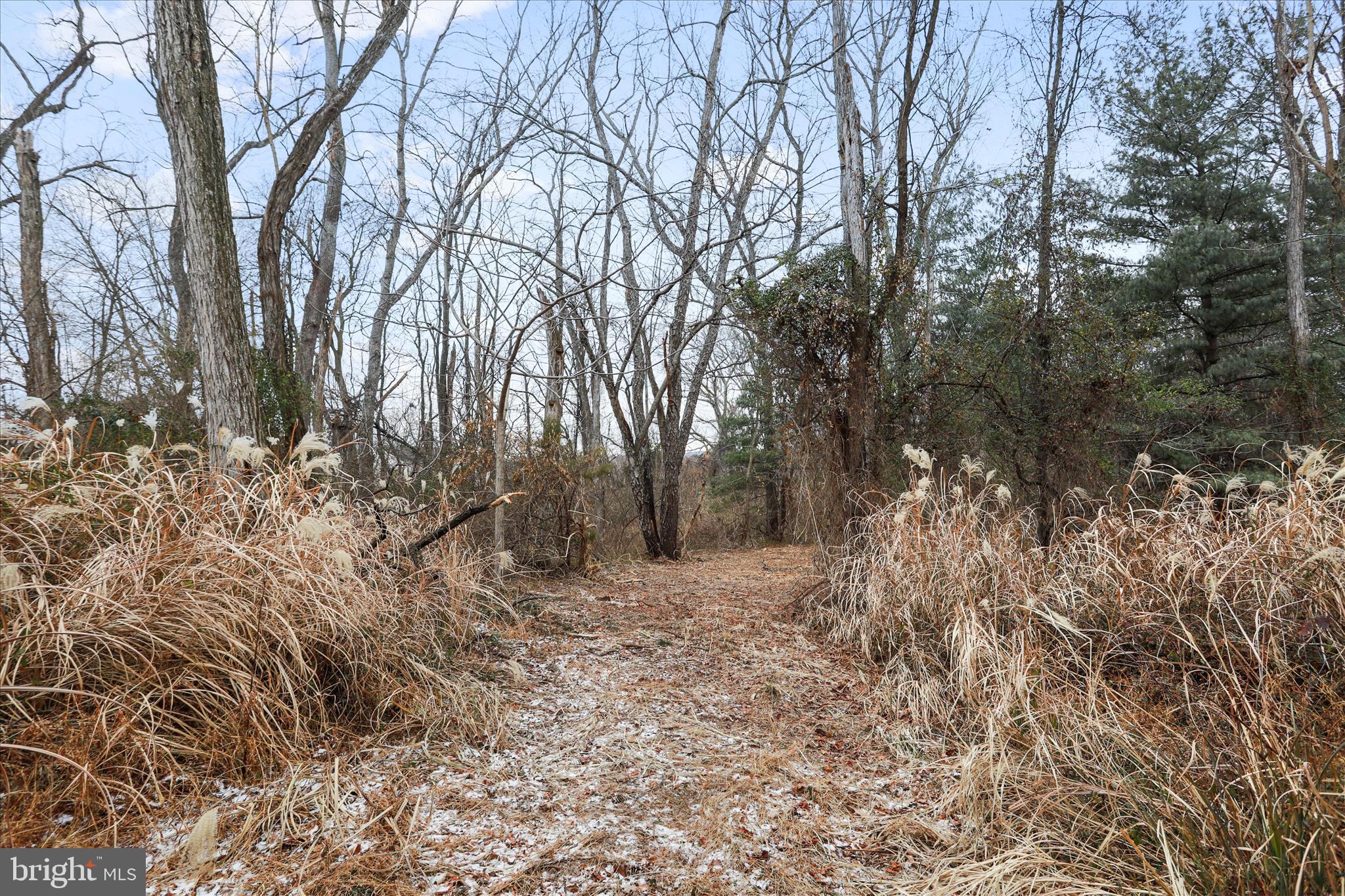 717 West Locust Street Woodstock, VA 22664 - Photo 65 of 71