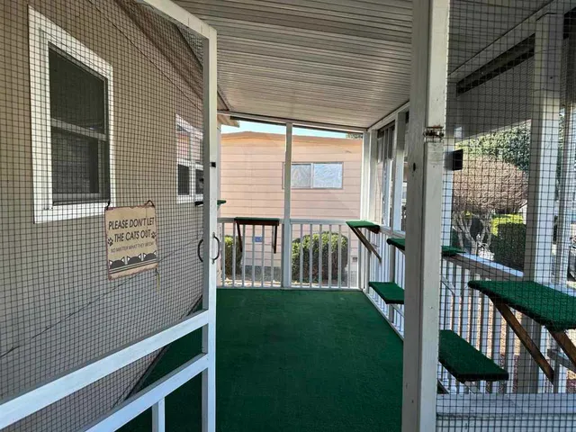 a view of a porch with furniture and garden