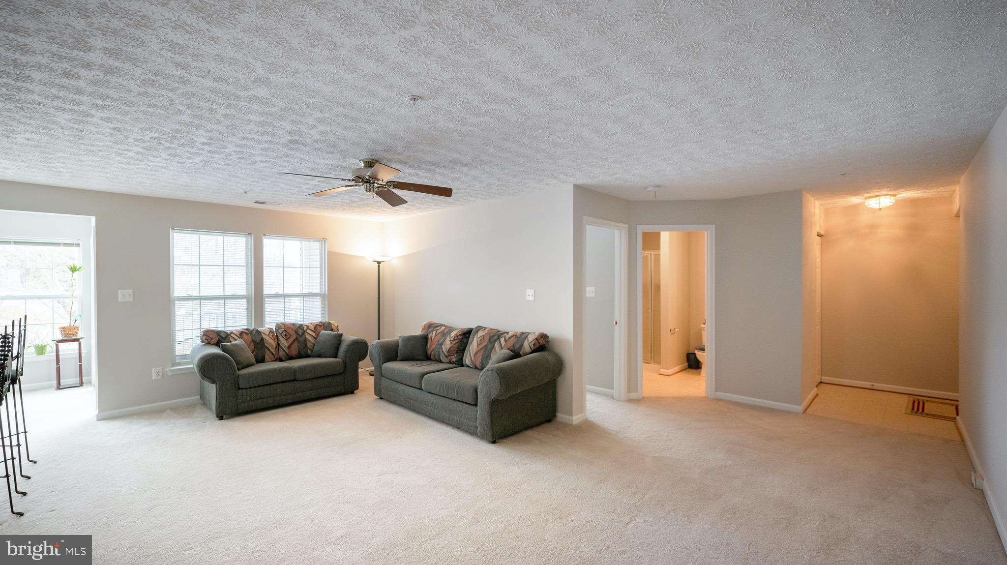 10105 Ridge Manor Terrace, Unit F Damascus, MD 20872 - Photo 2 of 22 Spacious Living room