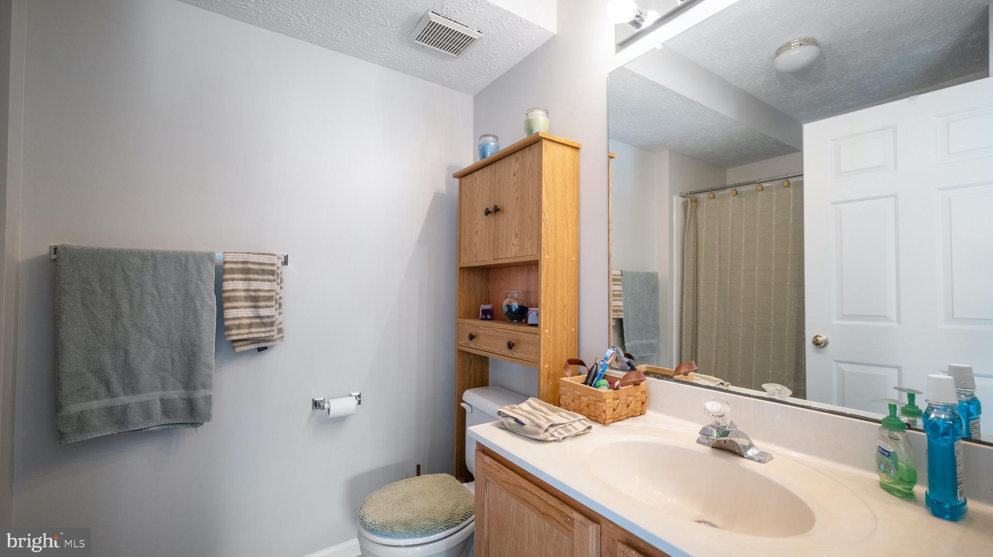 10105 Ridge Manor Terrace, Unit F Damascus, MD 20872 - Photo 13 of 22 Primary Bath
