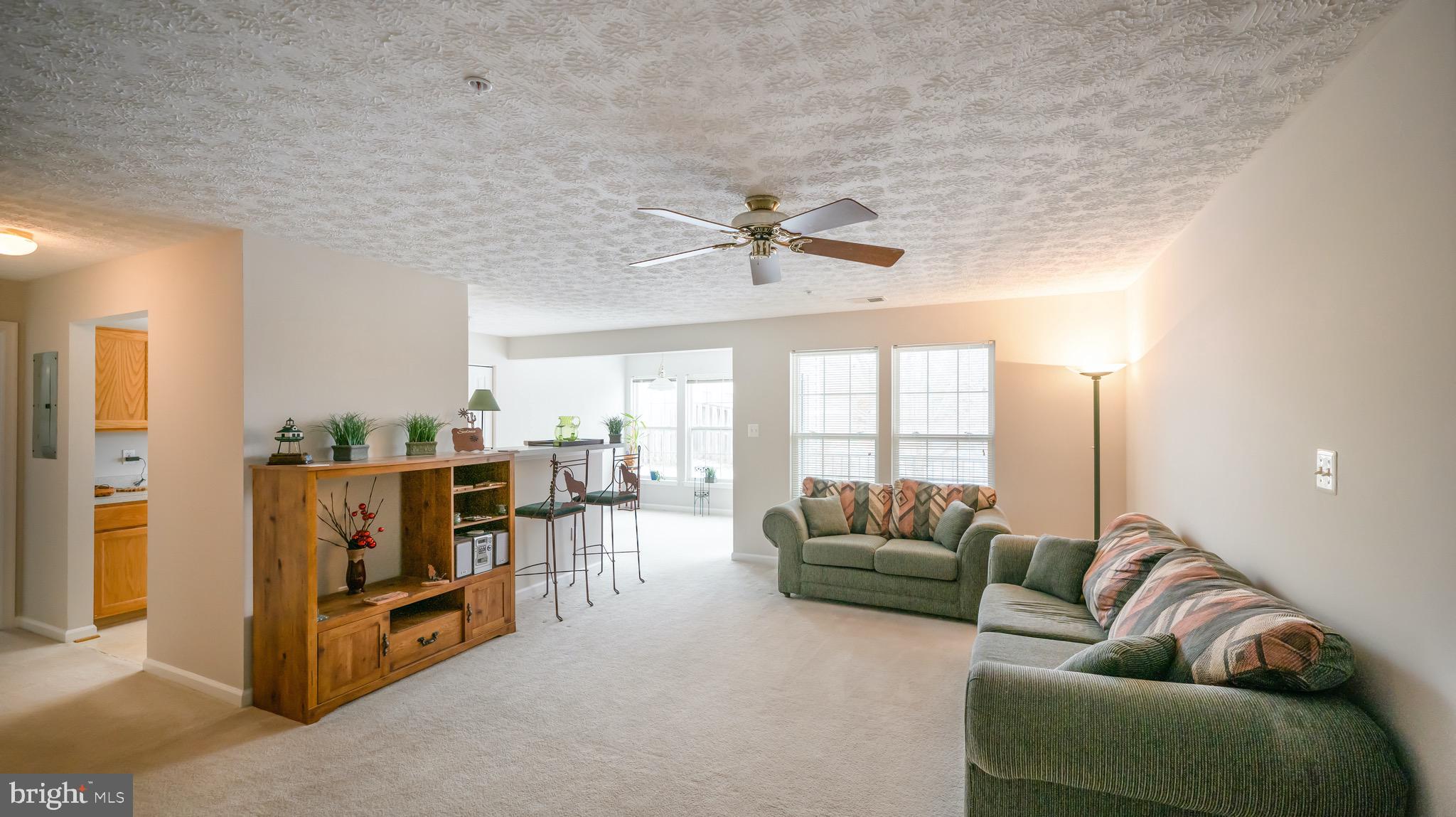 10105 Ridge Manor Terrace, Unit F Damascus, MD 20872 - Photo 3 of 22 Living room