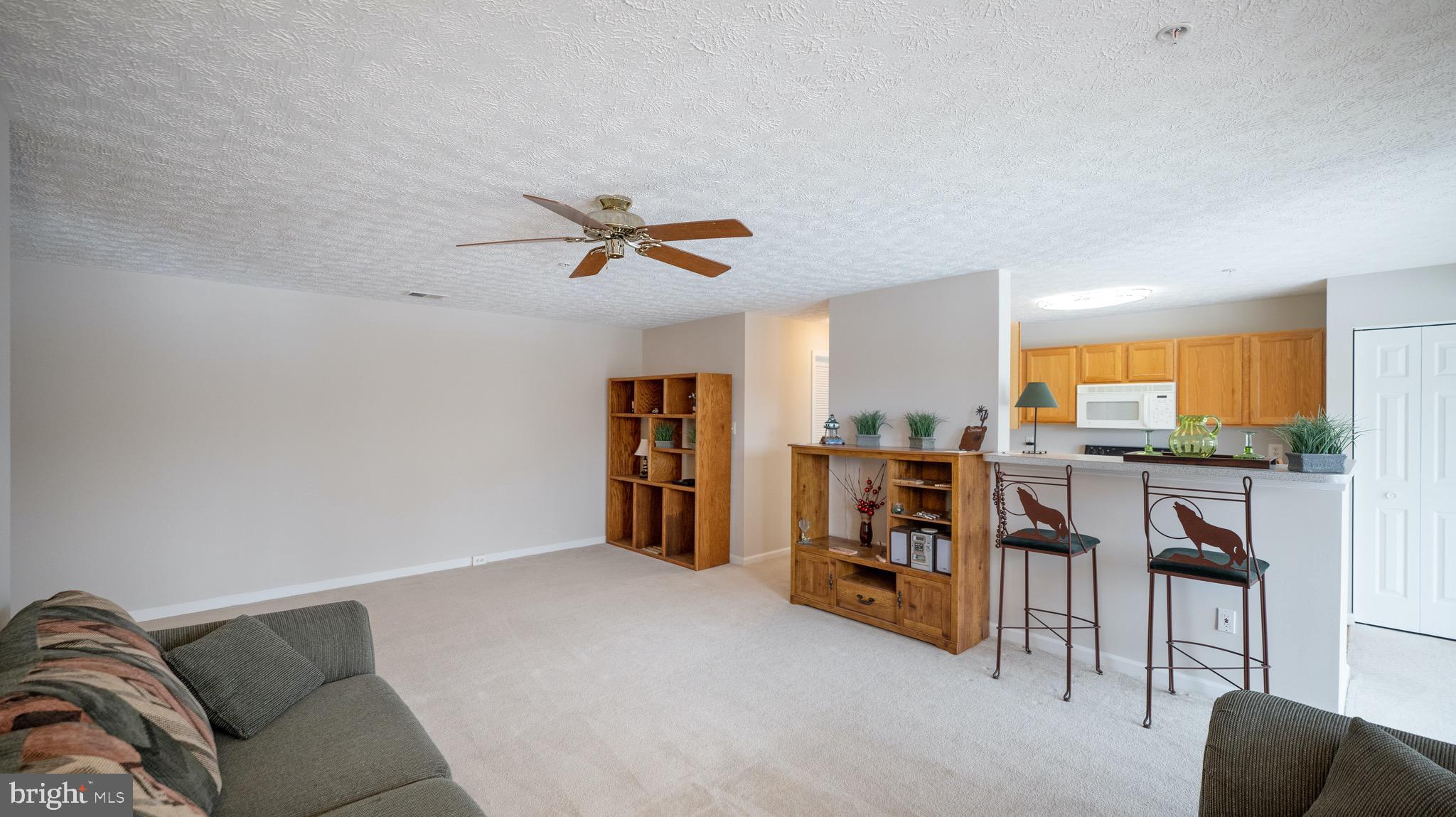 10105 Ridge Manor Terrace, Unit F Damascus, MD 20872 - Photo 4 of 22 Living room/ Kitchen combo