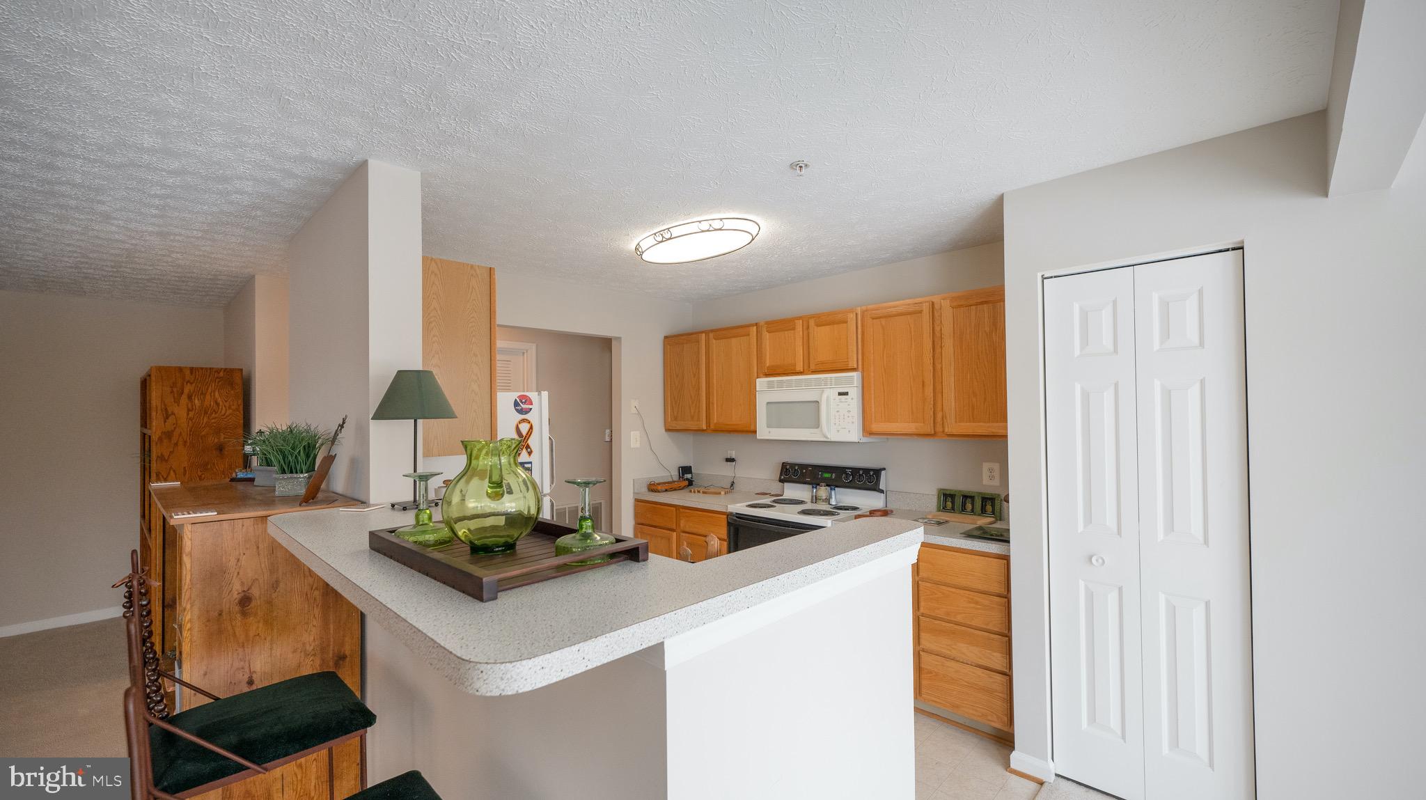 10105 Ridge Manor Terrace, Unit F Damascus, MD 20872 - Photo 5 of 22 Kitchen with Breakfast bar