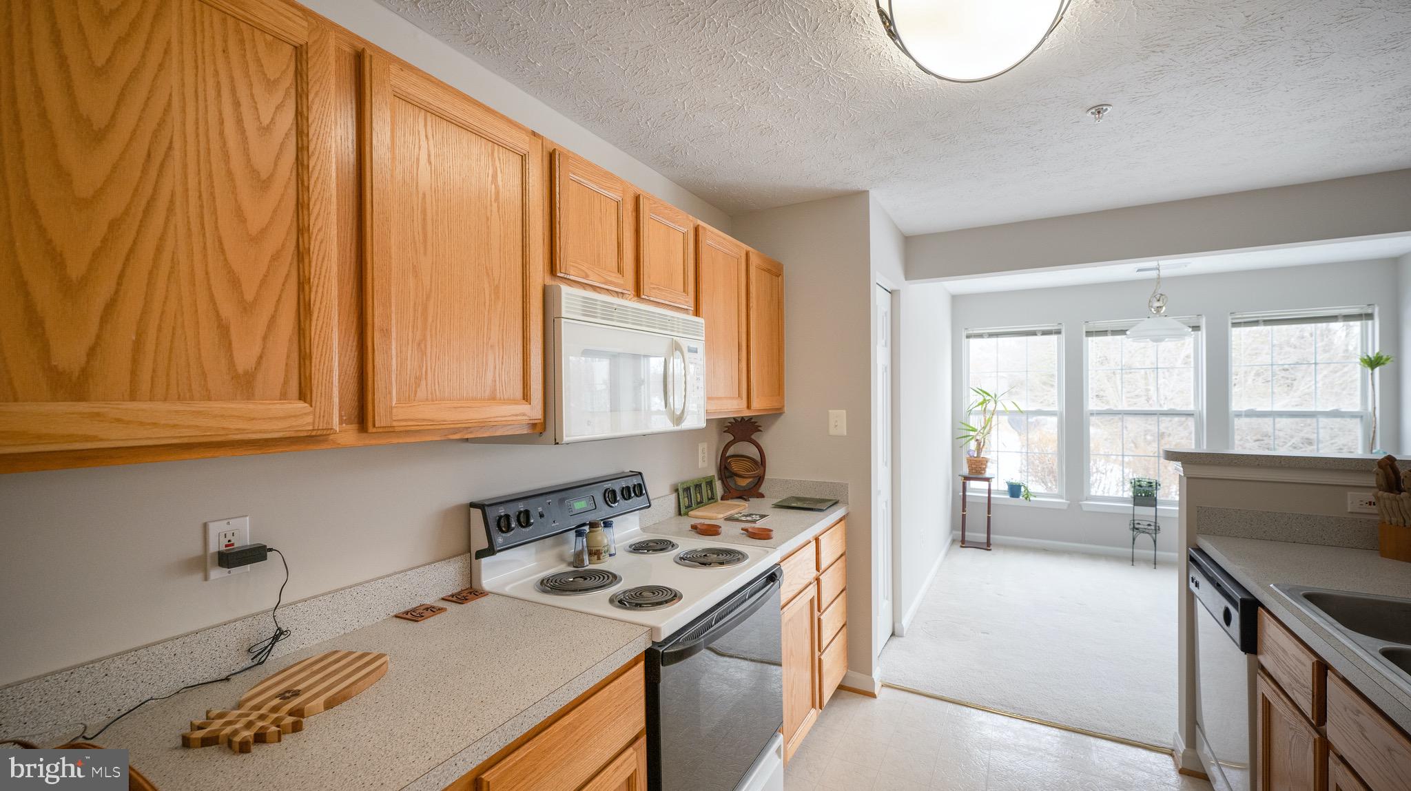 10105 Ridge Manor Terrace, Unit F Damascus, MD 20872 - Photo 7 of 22 Kitchen offers plenty of counter space