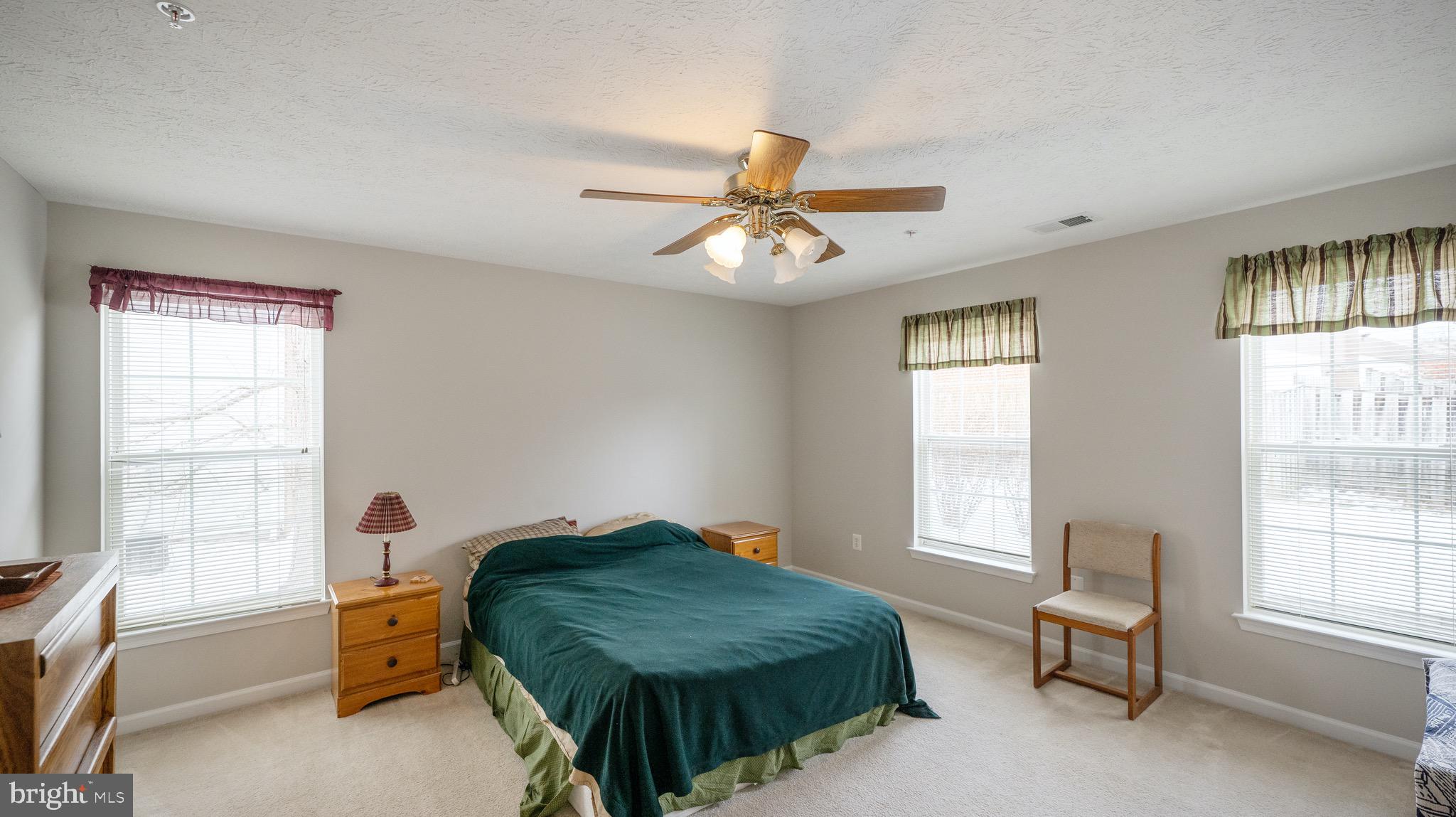 10105 Ridge Manor Terrace, Unit F Damascus, MD 20872 - Photo 10 of 22 Primary Bedroom