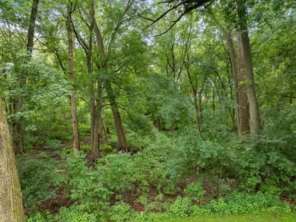 $579,000 | 553 Forest Glen Drive, Fontana, WI 53125