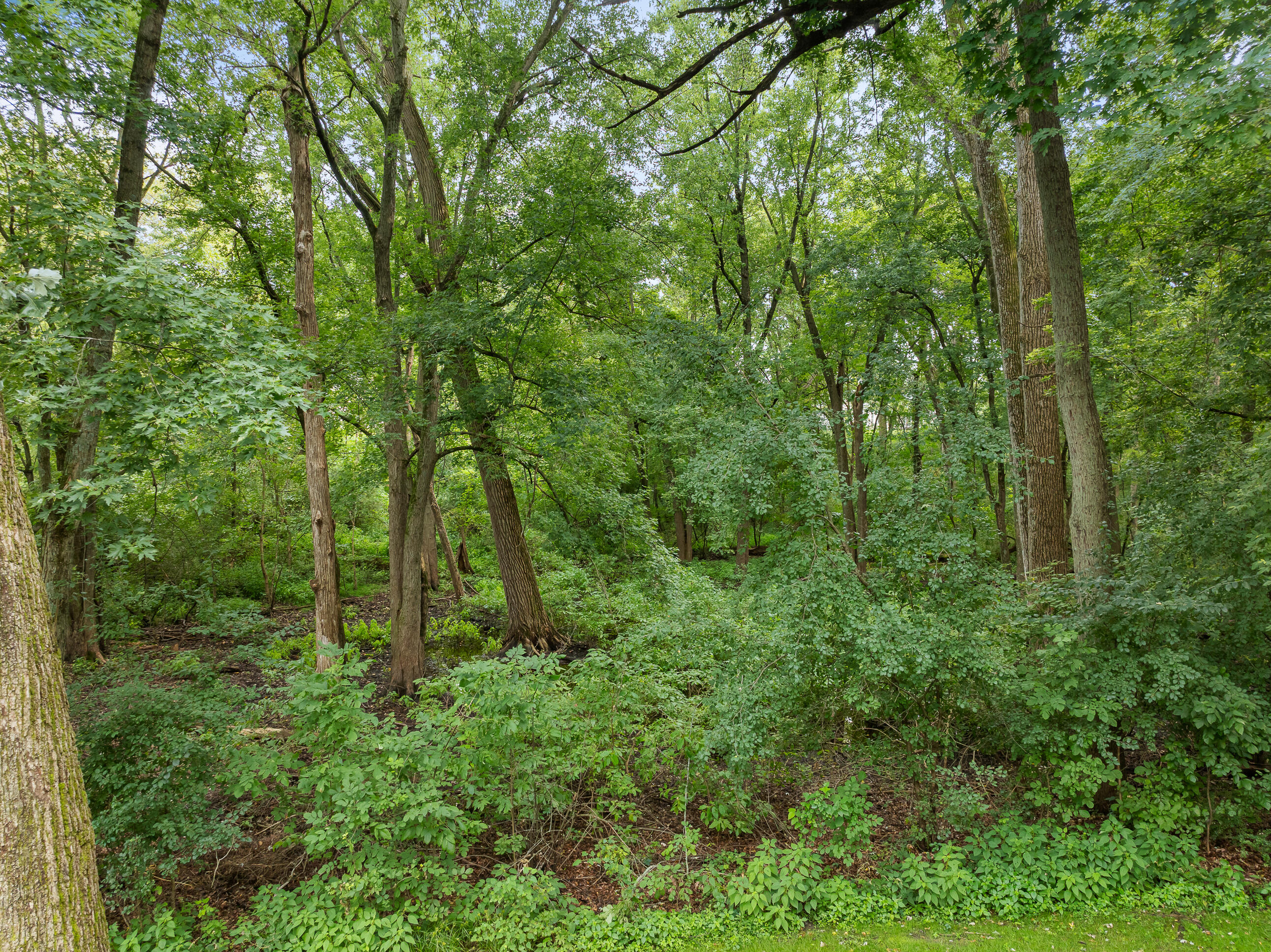 553 Forest Glen Drive Fontana, WI 53125 - Photo 66 of 71 Deck Backyard View