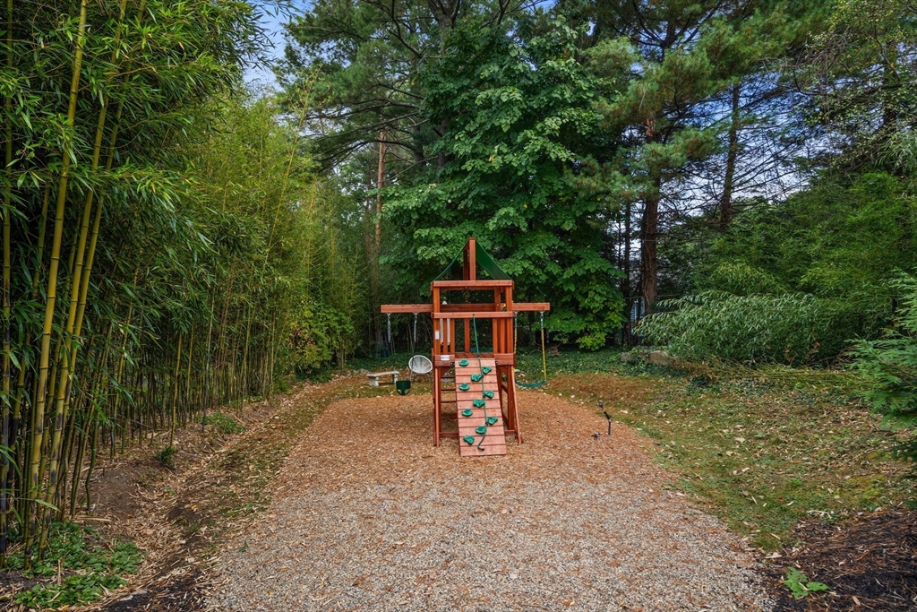 23 Crafts Road Brookline, MA 02467 - Photo 15 of 42 a view of a yard with a tree