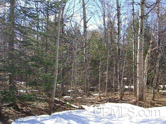 50884 Mesnard Location Road Hancock, MI 49930 - Photo 25 of 26