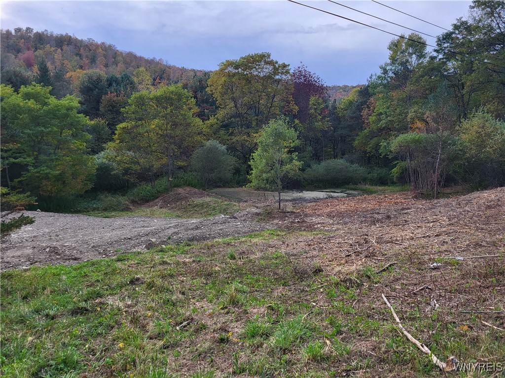 Lot A Porter Hollow Road Great Valley, NY 14741 - Photo 4 of 13