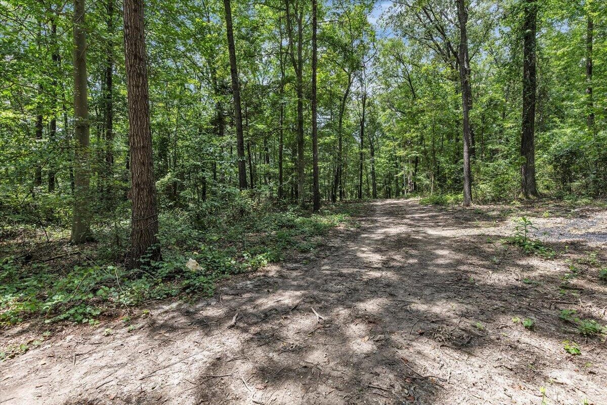 20 Meers Road Northwest Dalton, GA 30721 - Photo 15 of 15 a view of outdoor space with trees