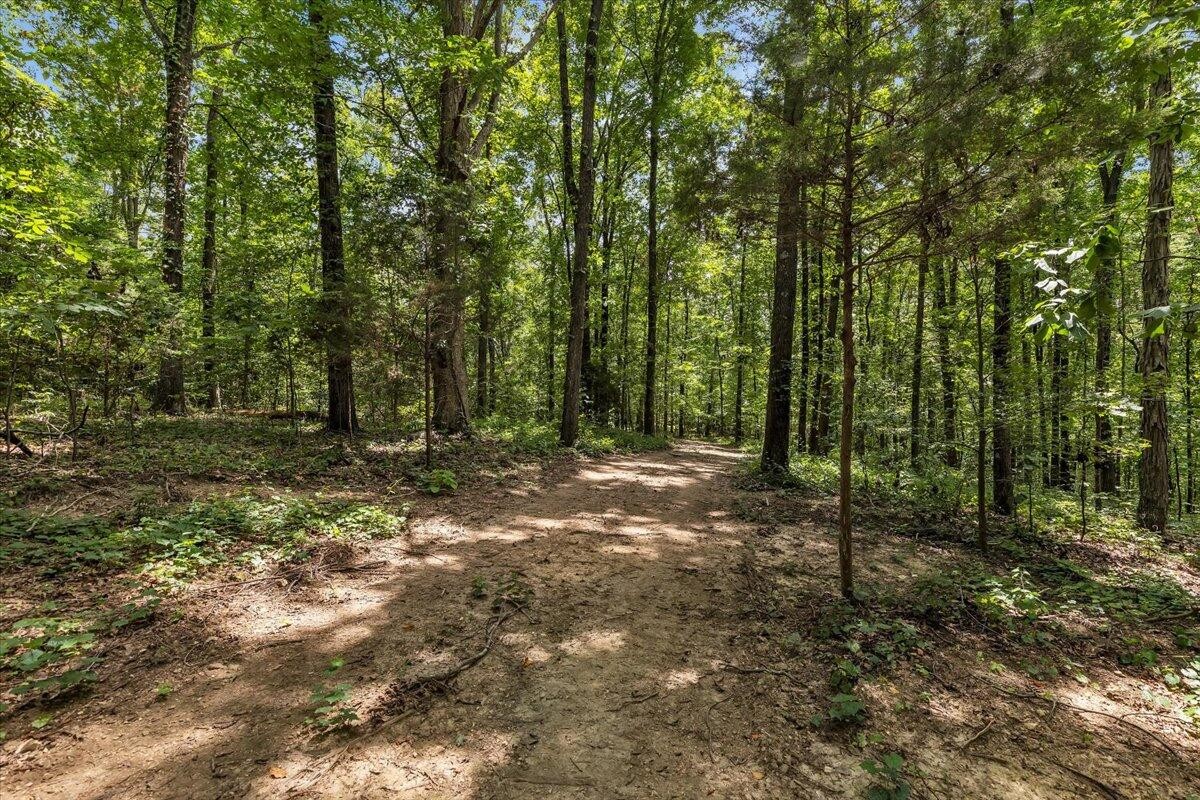 20 Meers Road Northwest Dalton, GA 30721 - Photo 3 of 15 a view of outdoor space with trees