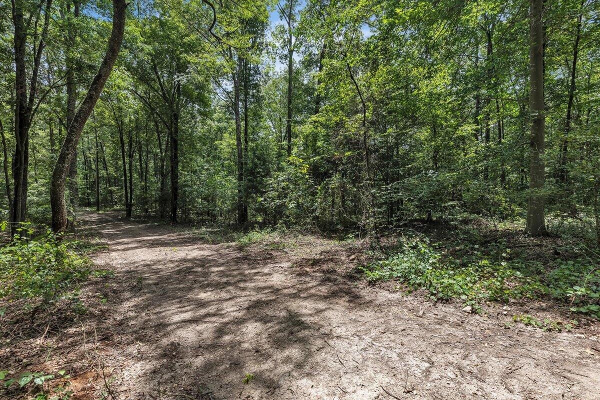 20 Meers Road Northwest Dalton, GA 30721 - Photo 5 of 15 a view of outdoor space with trees