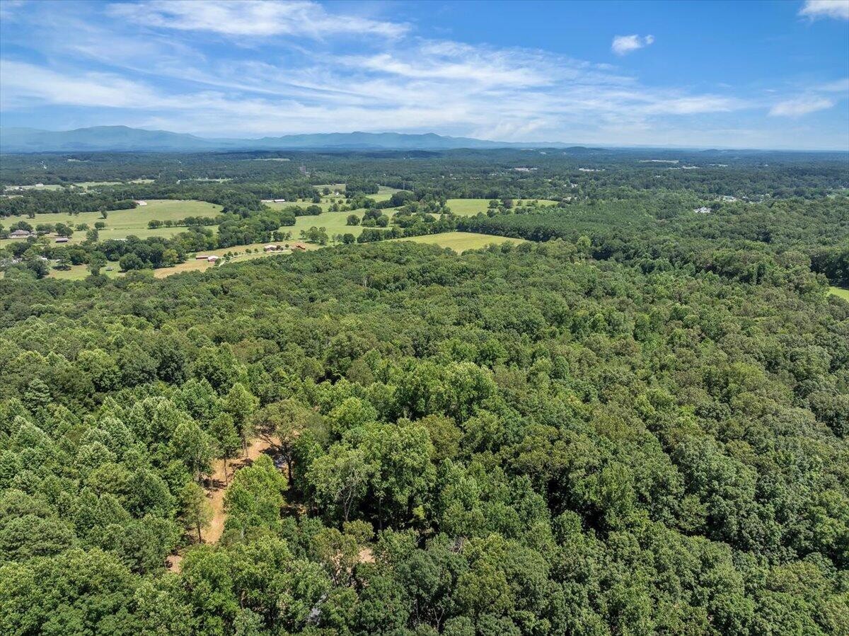 20 Meers Road Northwest Dalton, GA 30721 - Photo 8 of 15 an aerial view of residential houses with outdoor space and trees