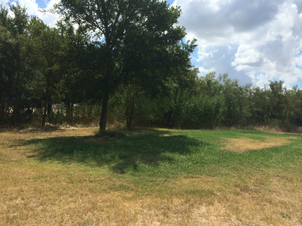 135 Hogeye Road Elgin, TX 78621 - Photo 1 of 1