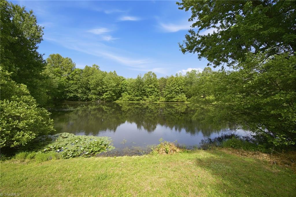 5406 Reidsville Road Walkertown, NC 27284 - Photo 21 of 23