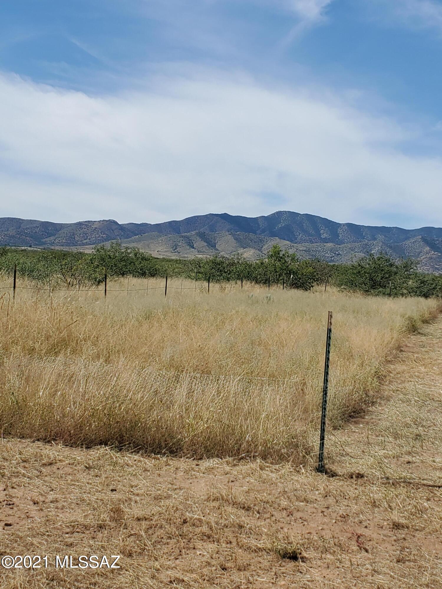 Tbd South Central Road, Unit 1 Pearce, AZ 85625 - Photo 5 of 22