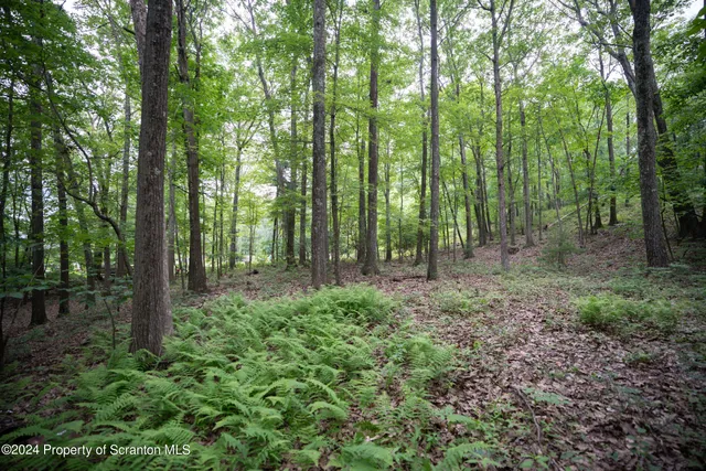 a view of outdoor space and green space