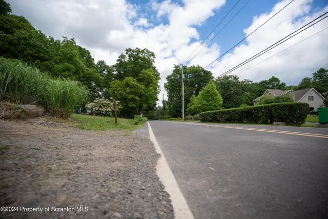 a view of a rural road with plants