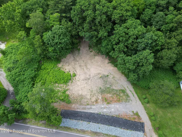a view of a pathway both side of yard