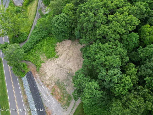 a view of a yard with plants and wooden fence