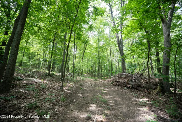 a view of outdoor space with lots of trees
