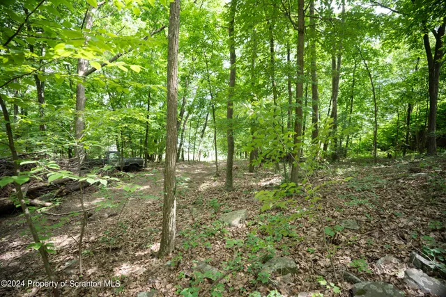 a view of outdoor space and trees