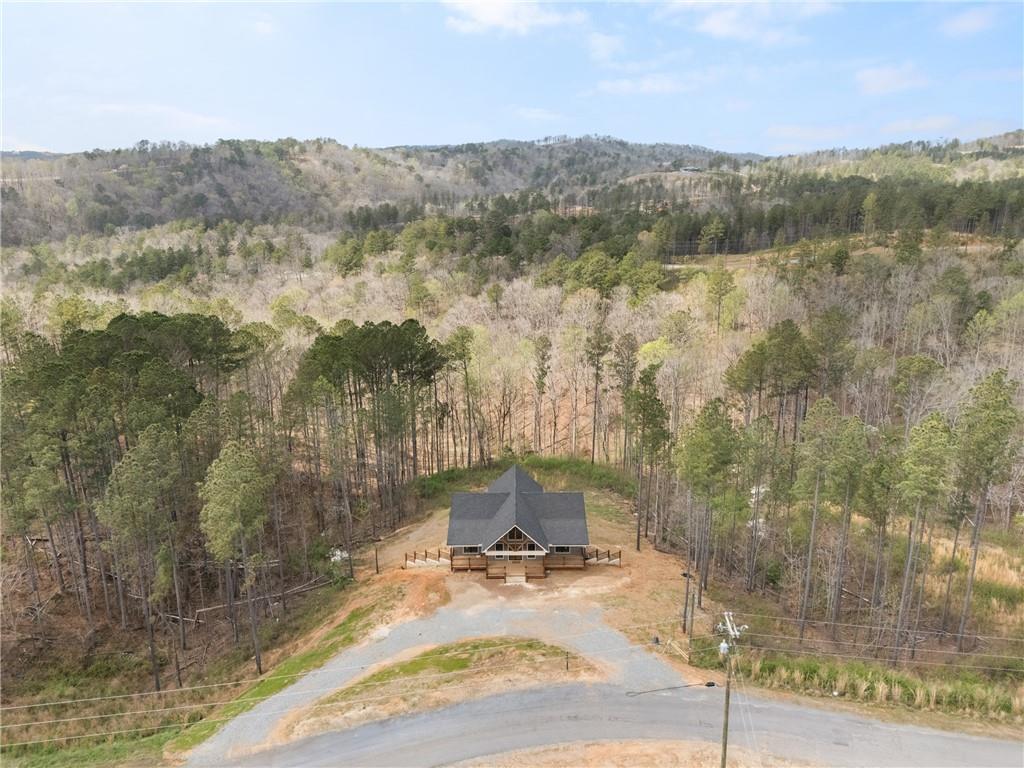2956 Blalock Mountain Road Talking Rock, GA 30175 - Photo 49 of 65 a view of lake with mountain