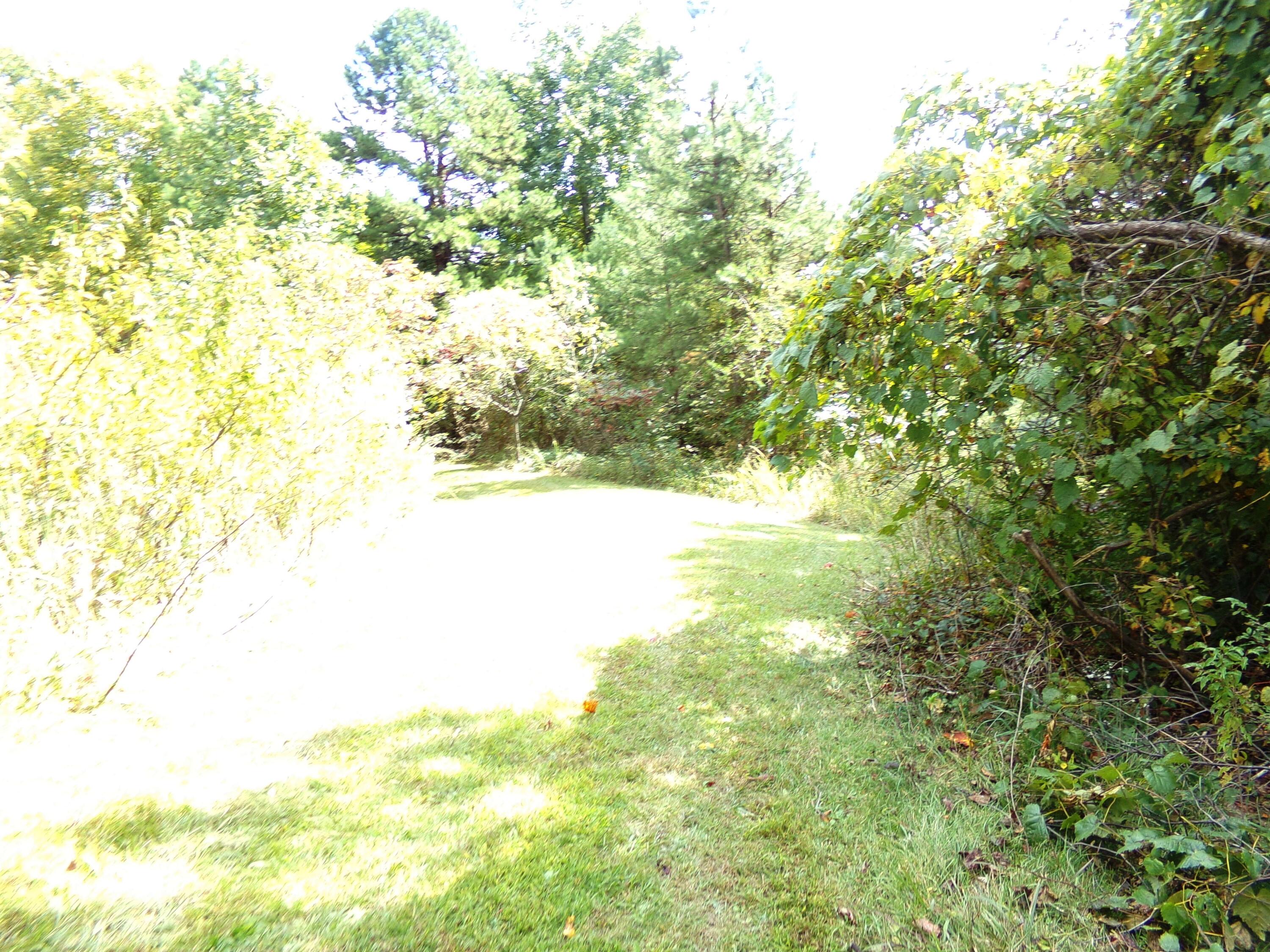 351 Morganview Road Wellington, KY 40387 - Photo 14 of 15 045