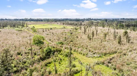 a view of lake and mountain