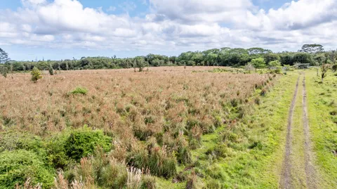 a view of lake with mountain in background