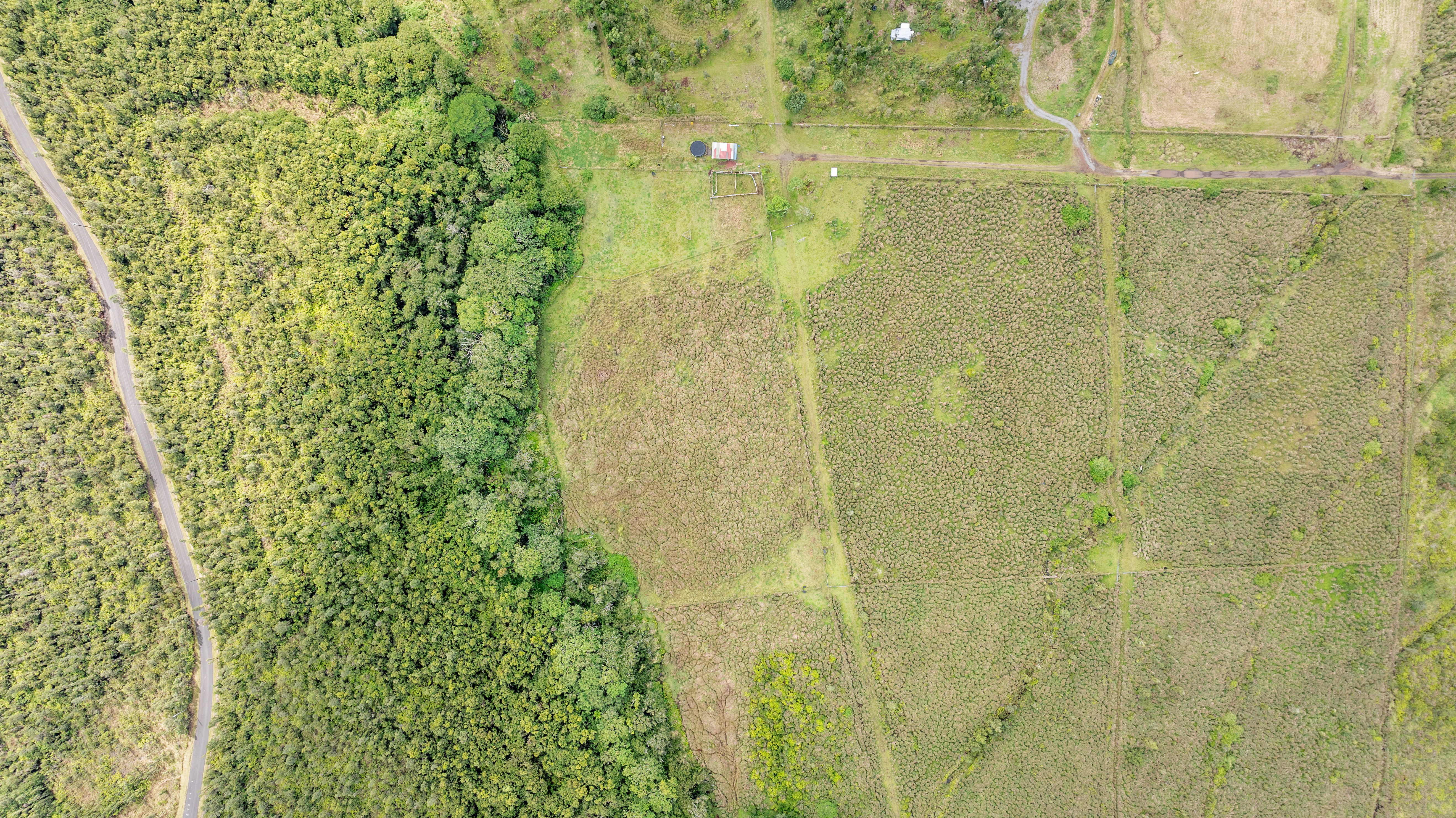18-3780 Lot 112-b Pszyk Rd Mountain View Mountain View, HI 96771 - Photo 22 of 28 a bathroom with a shower
