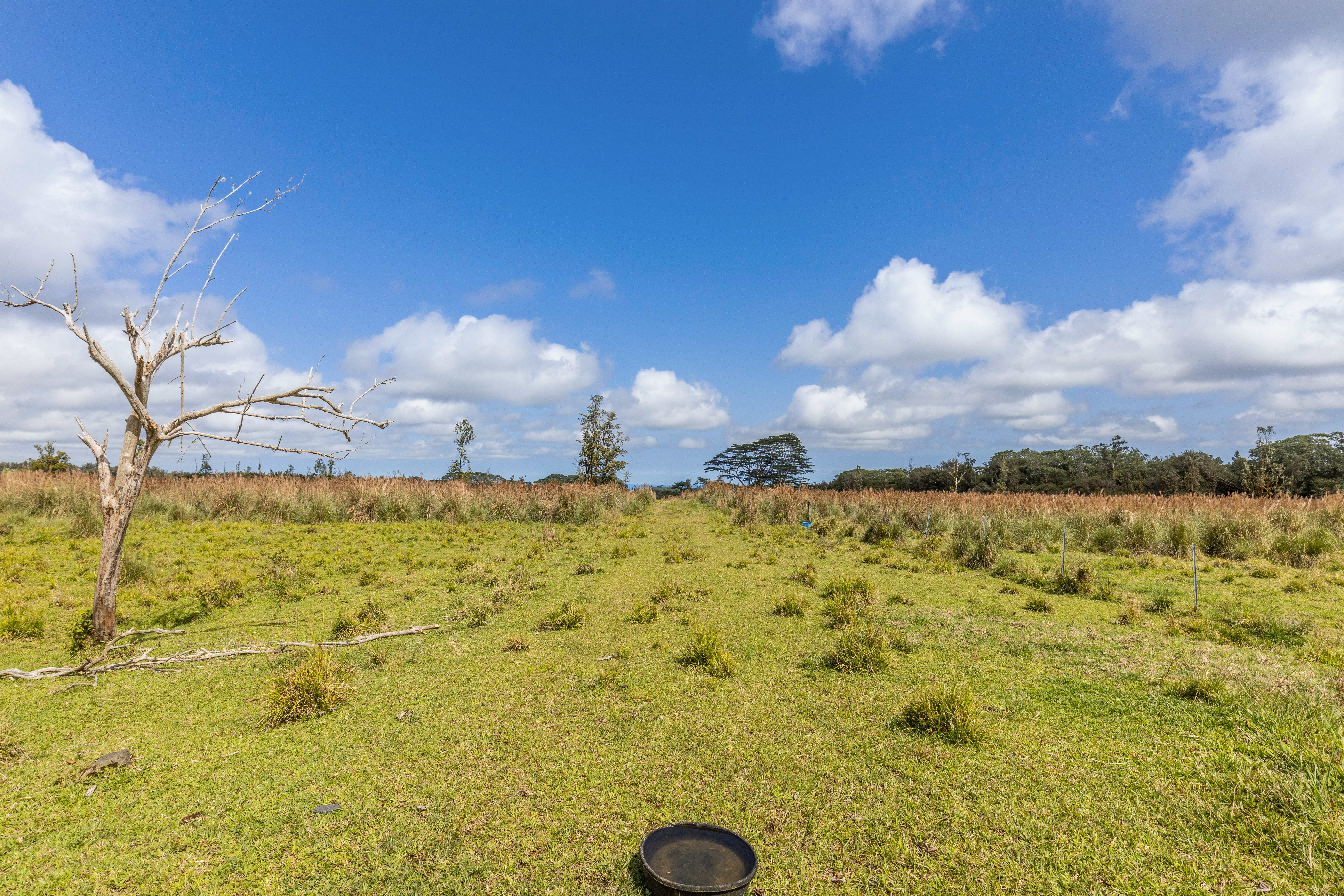 18-3780 Lot 112-b Pszyk Rd Mountain View Mountain View, HI 96771 - Photo 26 of 28 a view of a lake