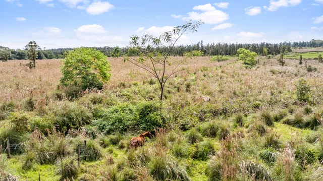 a view of lake with green space