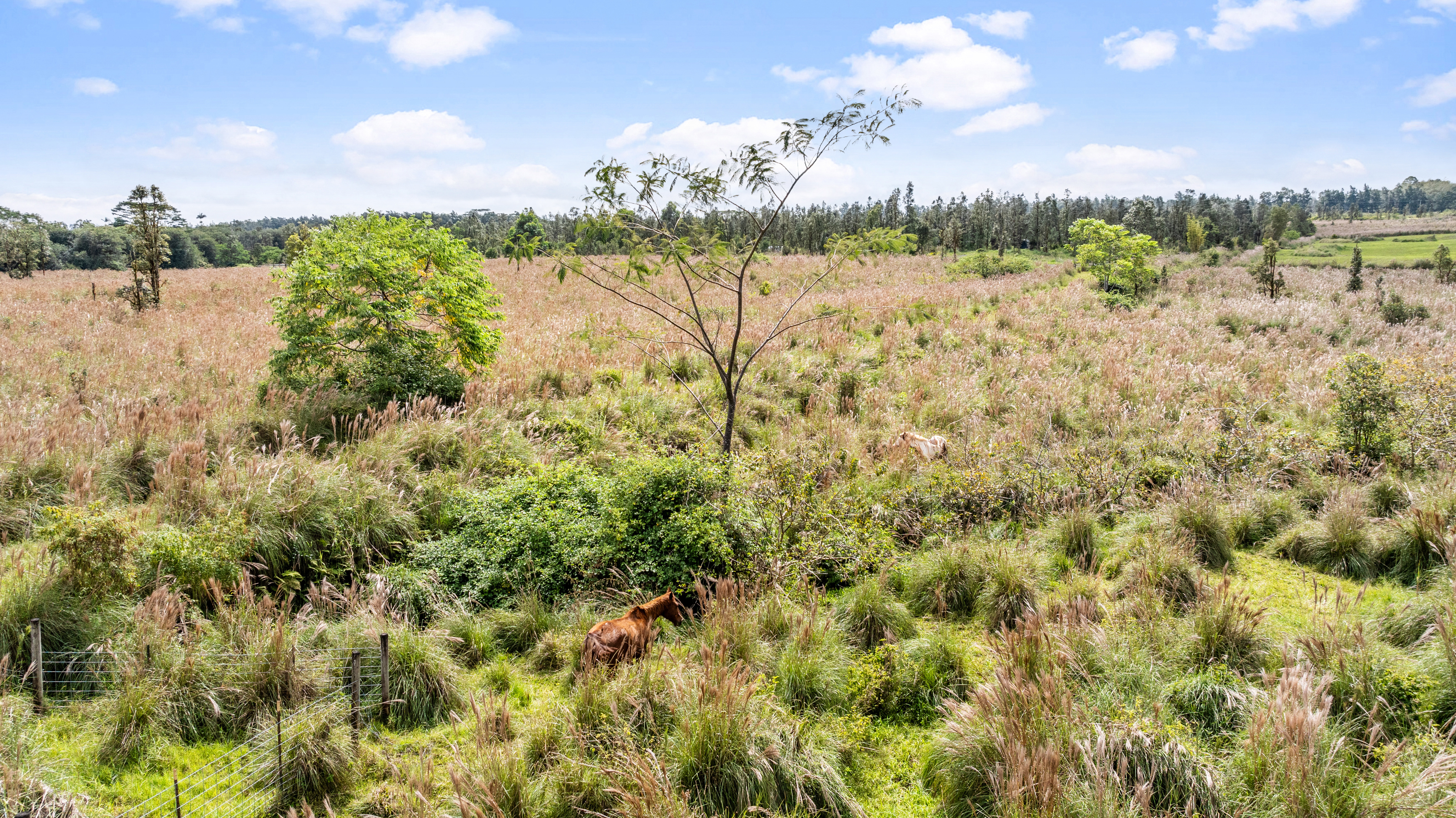 18-3780 Lot 112-b Pszyk Rd Mountain View Mountain View, HI 96771 - Photo 4 of 28 a view of lake with green space